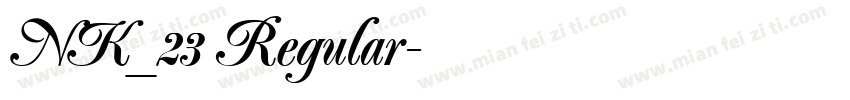 NK_23 Regular字体转换